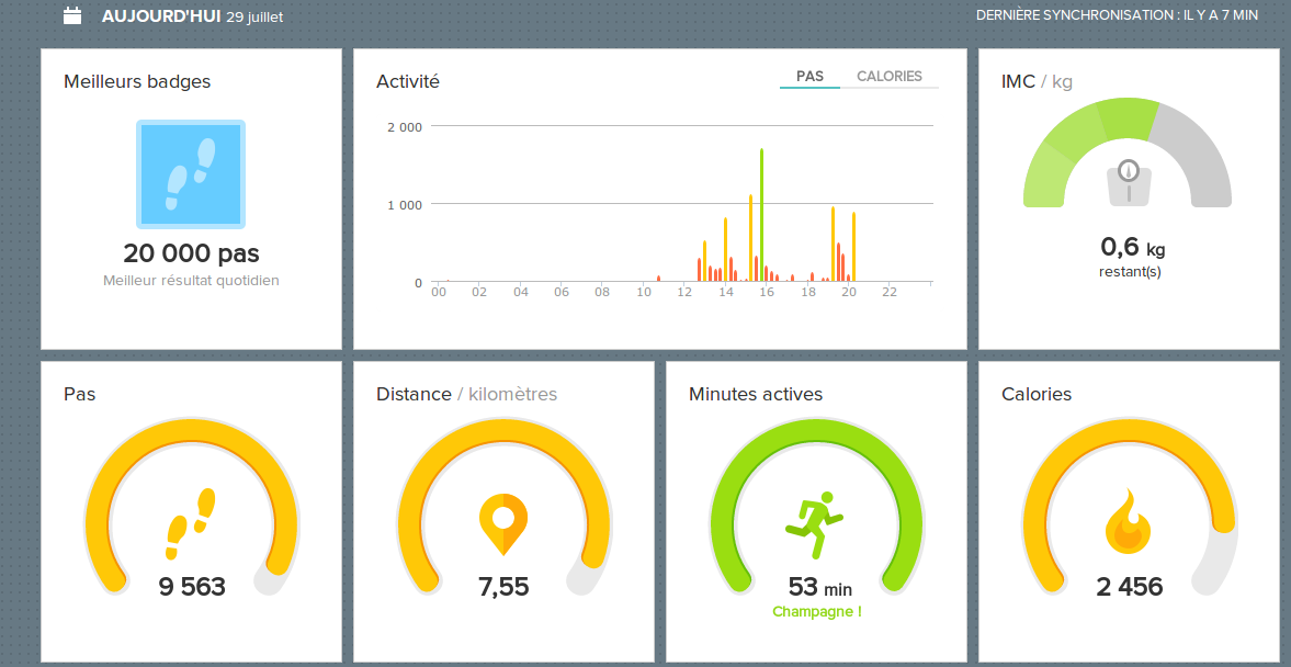 Balance intelligente FITBIT ARIA WI-FI, Test & Avis