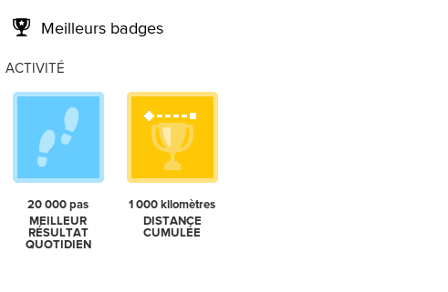 mes badges fitbits